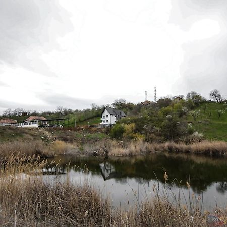 Pensiunea Giulia Turda Esterno foto